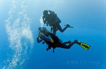 深度分析浙江输广州,两队进攻效率都很高,浙江队输在防守和高度